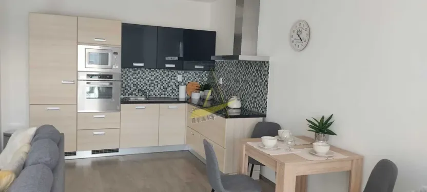 Pronájem bytu 1+kk, České Budějovice - České Budějovice 3, Jírovcova, 57 m2