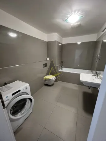 Pronájem bytu 1+kk, České Budějovice - České Budějovice 3, Jírovcova, 57 m2