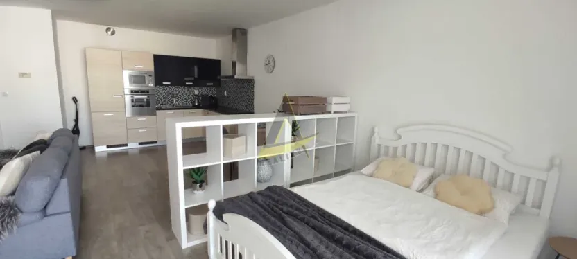 Pronájem bytu 1+kk, České Budějovice - České Budějovice 3, Jírovcova, 57 m2