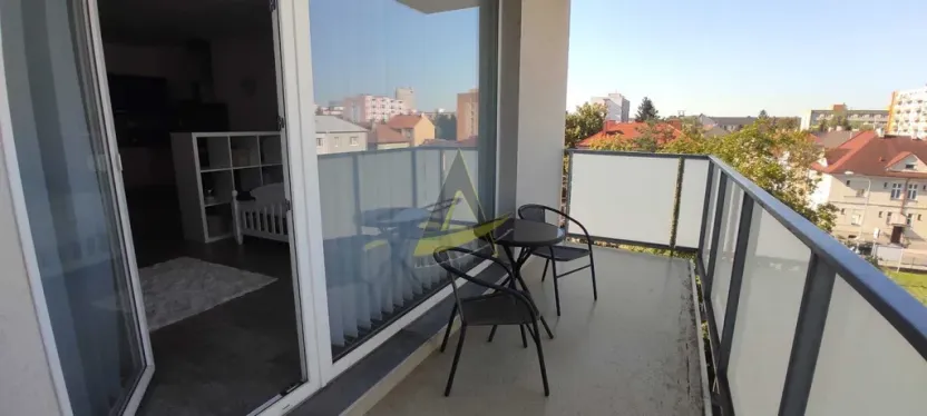 Pronájem bytu 1+kk, České Budějovice - České Budějovice 3, Jírovcova, 57 m2