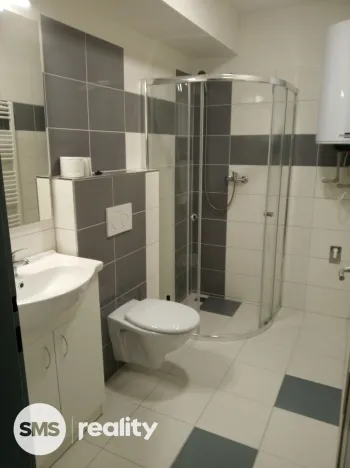 Pronájem bytu 1+1, Opava - Předměstí, Rybářská, 25 m2