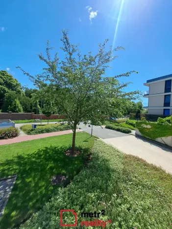 Pronájem bytu 3+kk, Olomouc, Karla Mareše, 82 m2