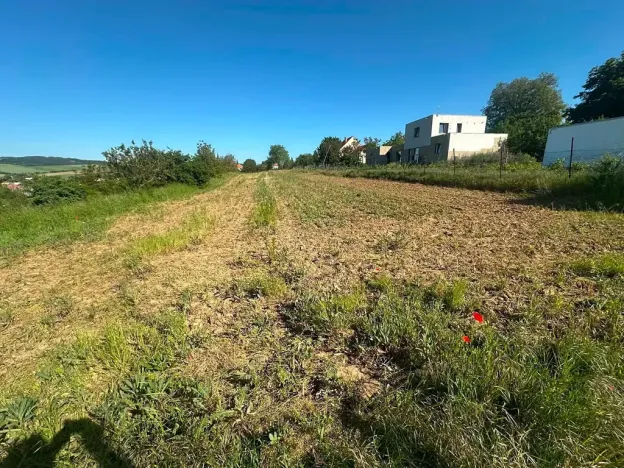Prodej pole, Boršice, 2375 m2