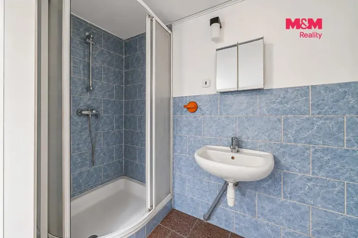 Prodej rodinného domu, Bohdíkov, 210 m2