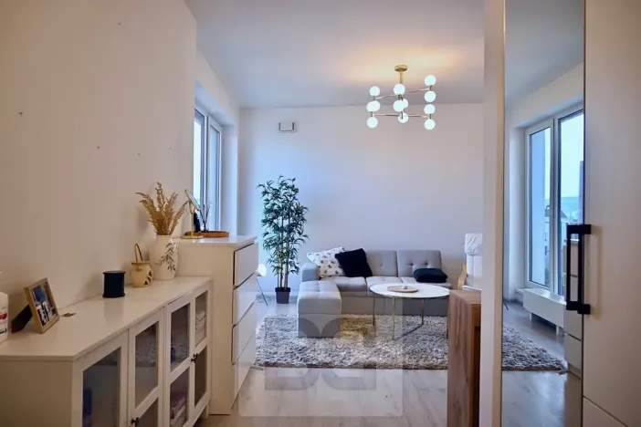Pronájem bytu 1+kk, Brno, Křenová, 40 m2
