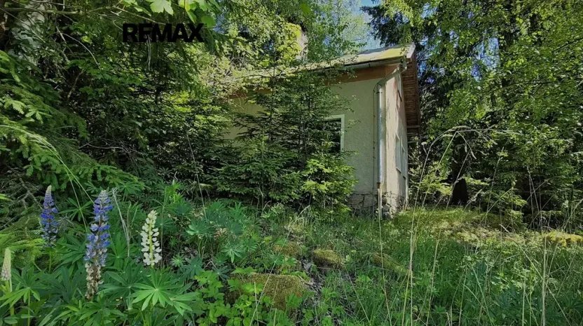 Prodej chaty, Sněžné, 60 m2