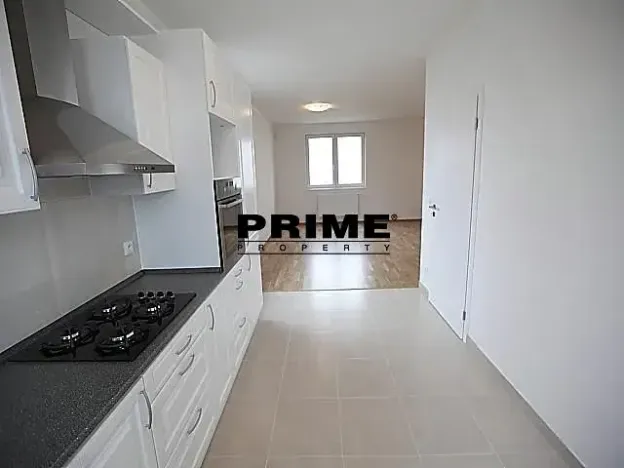 Pronájem rodinného domu, Průhonice, Pod Valem II., 350 m2