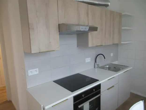 Pronájem bytu 2+1, Brno, Svatopluka Čecha, 53 m2