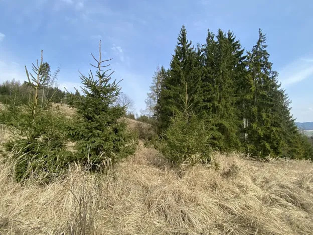 Prodej louky, Městečko Trnávka - Lázy, 1026 m2