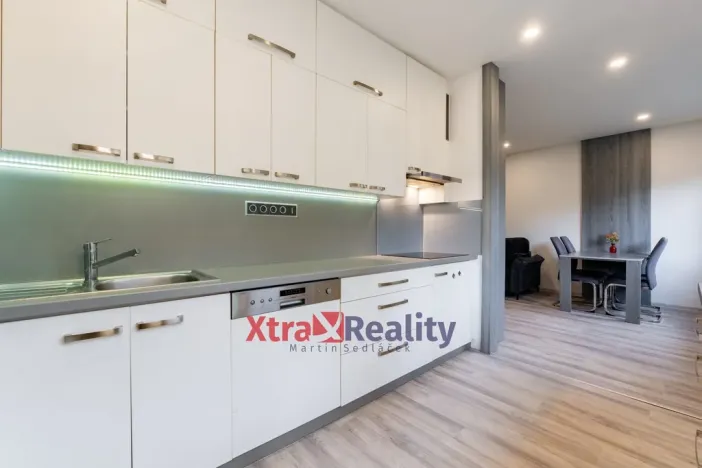 Pronájem bytu 2+kk, Teplice, Křížkovského, 52 m2