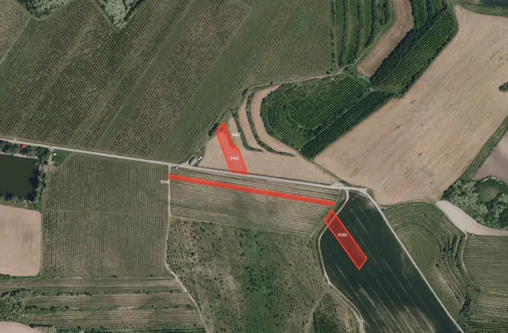 Prodej sadu/vinice, Kobylí, 33801 m2