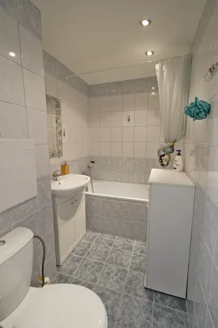 Pronájem bytu 2+1, Domažlice, Mánesova, 58 m2