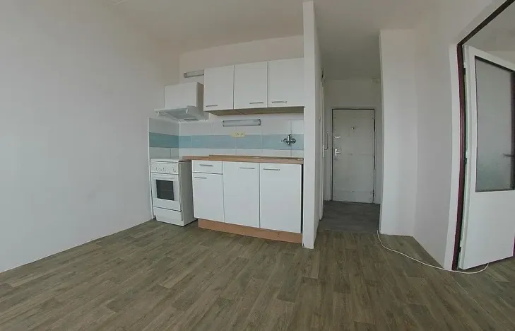 Pronájem bytu 1+1, Plzeň, Sokolovská, 40 m2