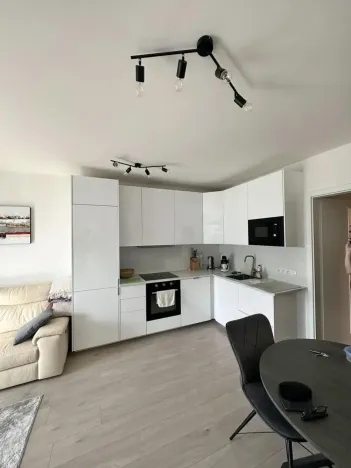 Pronájem bytu 2+kk, Praha - Žižkov, Hartigova, 55 m2