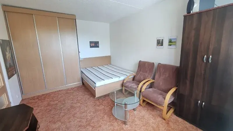 Pronájem bytu 1+1, Jihlava, Telečská, 33 m2