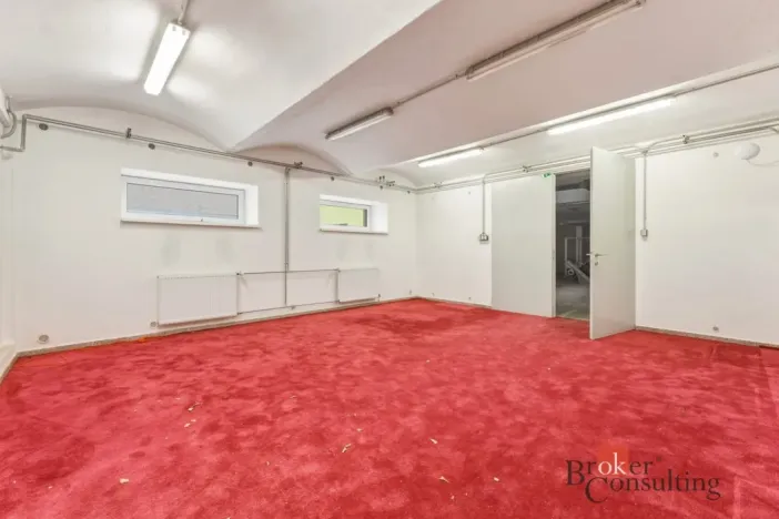 Pronájem výrobních prostor, Blešno, 150 m2