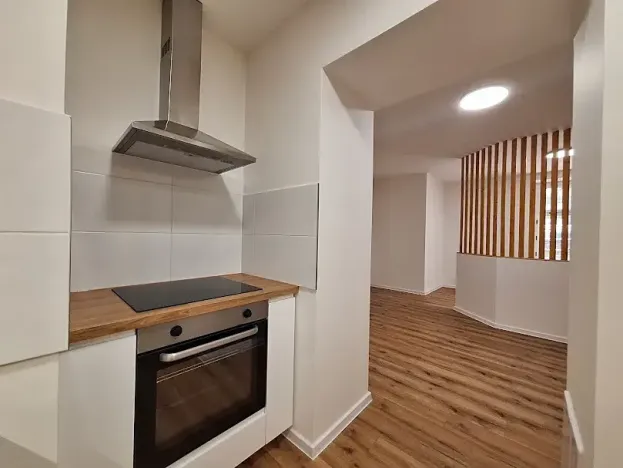 Pronájem bytu 1+1, Praha - Bubeneč, U zeměpisného ústavu, 37 m2