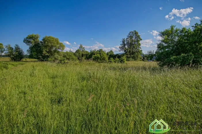 Prodej pozemku pro bydlení, Stará Červená Voda, 2477 m2