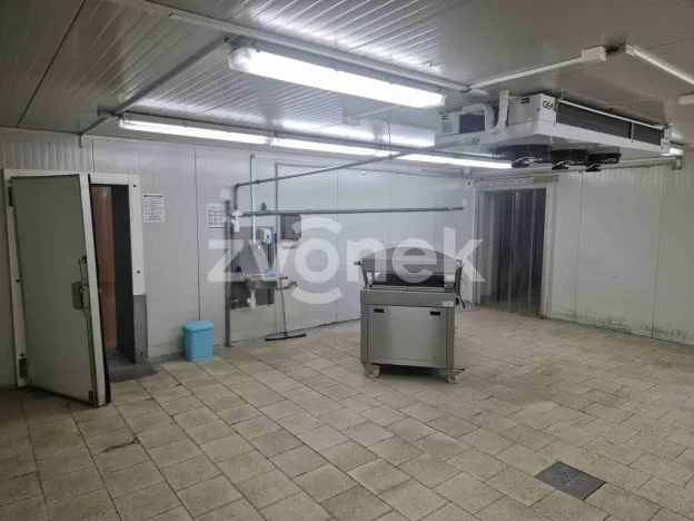 Pronájem výrobních prostor, Uherské Hradiště, Na Příkopě, 780 m2
