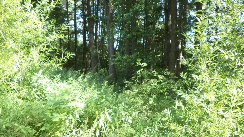 Prodej pozemku, Chodský Újezd - Nahý Újezdec, 1046 m2