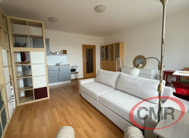 Pronájem bytu 1+kk, Praha, Teplická, 31 m2