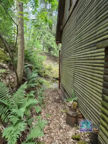 Prodej chaty, Svojšín, 59 m2