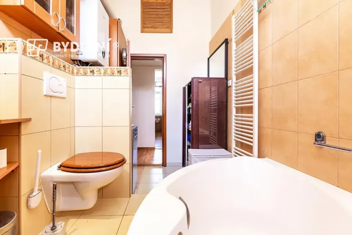 Pronájem bytu 3+kk, Ústí nad Labem, Elišky Krásnohorské, 74 m2