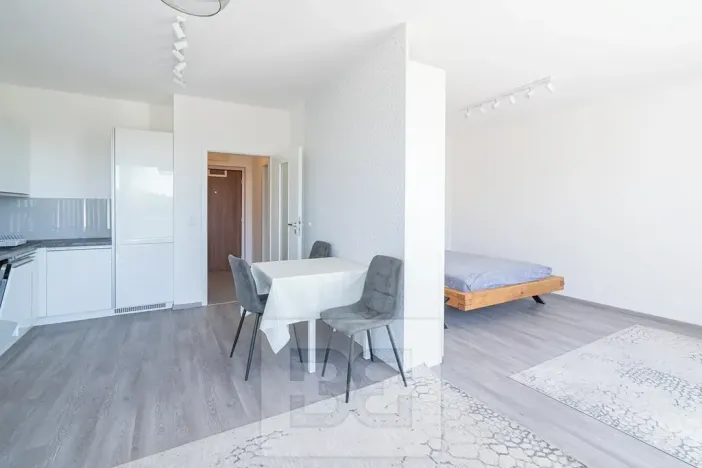 Pronájem bytu 1+kk, Beroun, Na Veselou, 44 m2