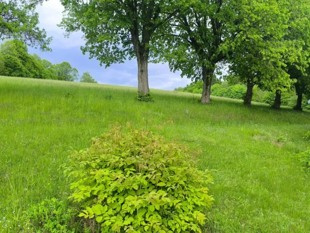 Prodej chalupy, Kounov - Nedvězí, 267 m2