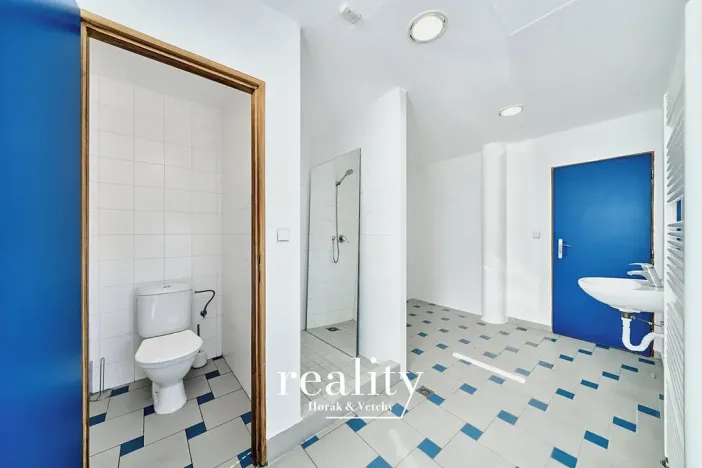 Pronájem ordinace, Znojmo, Kuchařovická, 84 m2