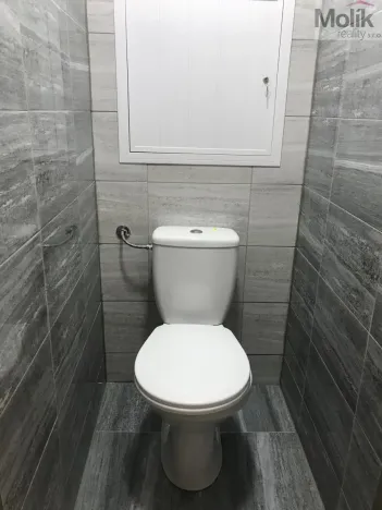 Pronájem bytu 3+1, Bílina - Pražské Předměstí, Alšova, 55 m2