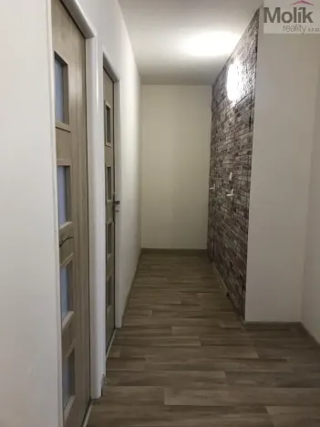 Pronájem bytu 3+1, Bílina - Pražské Předměstí, Alšova, 55 m2