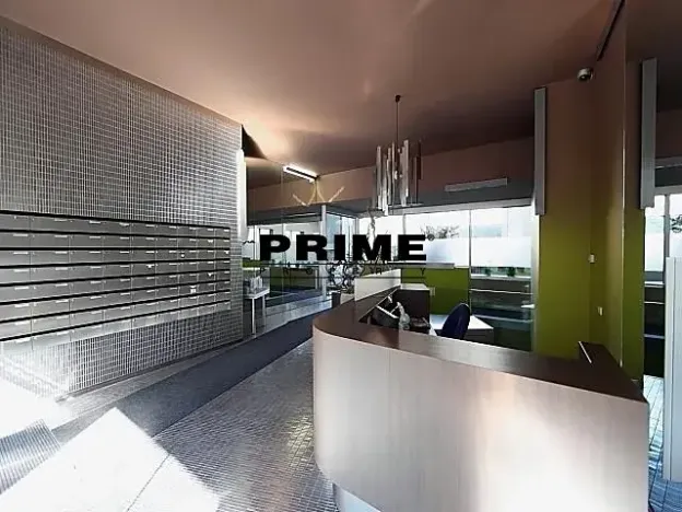 Pronájem bytu 3+kk, Praha - Žižkov, Prokopova, 154 m2