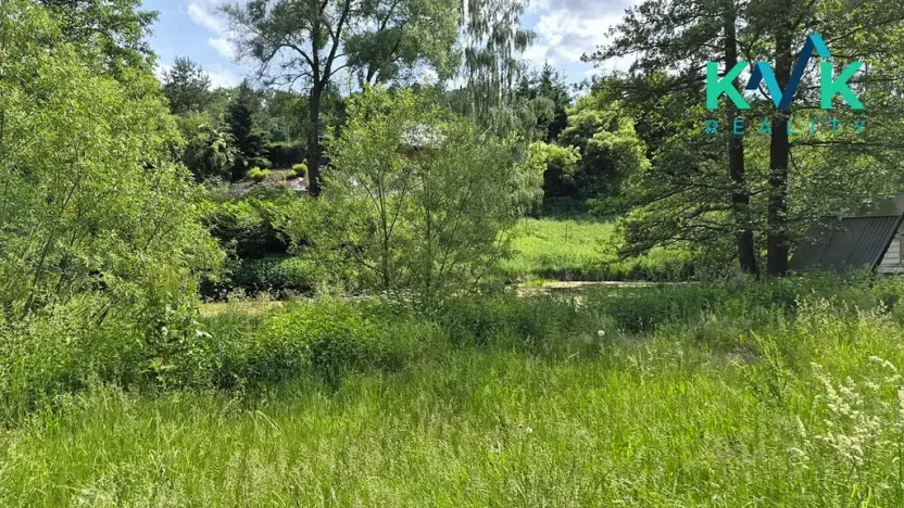 Pronájem zahrady, Sadov, 3000 m2