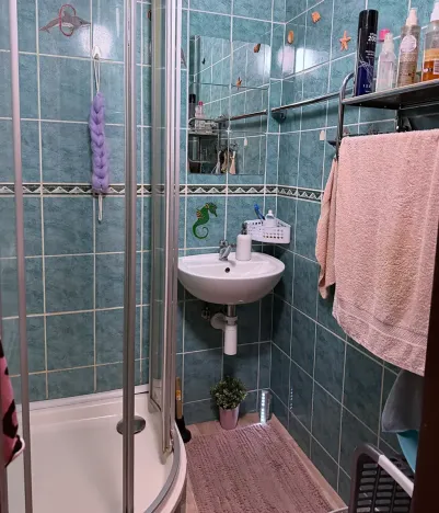 Prodej bytu 2+1, Ostrava, Mongolská, 54 m2