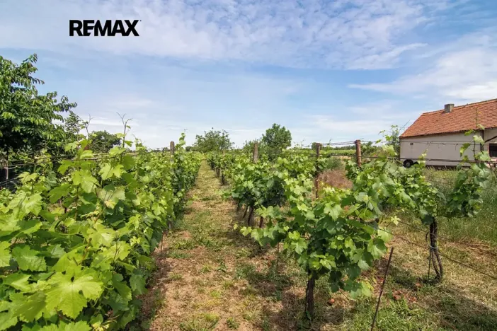 Prodej pozemku pro bydlení, Prušánky, 1448 m2