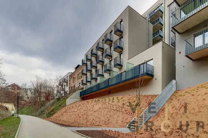 Pronájem bytu 1+kk, Praha - Žižkov, Hartigova, 45 m2