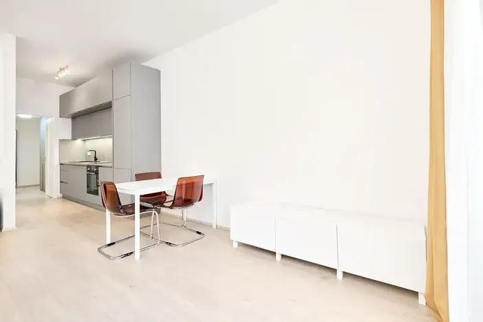 Pronájem bytu 1+kk, Praha - Žižkov, Hartigova, 45 m2