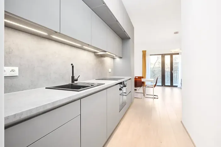 Pronájem bytu 1+kk, Praha - Žižkov, Hartigova, 45 m2
