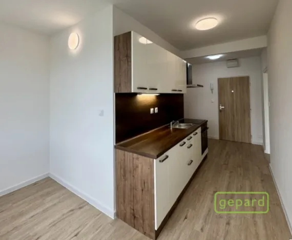 Pronájem bytu 2+1, Veselí nad Lužnicí, K Zastávce, 55 m2