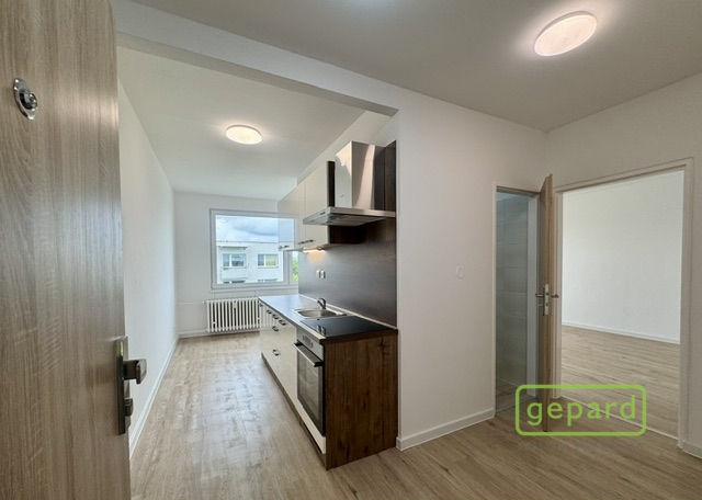 Pronájem bytu 2+1, Veselí nad Lužnicí, K Zastávce, 55 m2