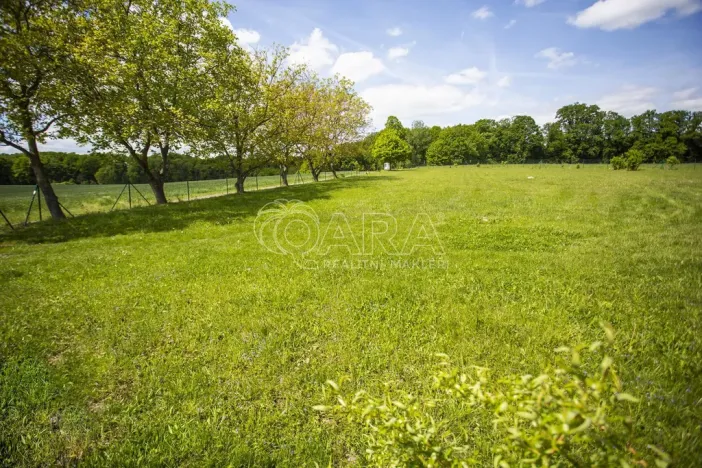 Prodej pozemku pro bydlení, Bukvice, 1400 m2