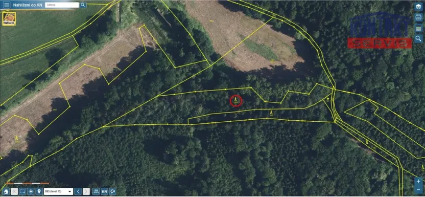 Prodej lesa, Bradlecká Lhota, 5202 m2