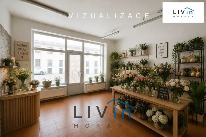 Pronájem obchodního prostoru, Olomouc, Smrčkova, 32 m2