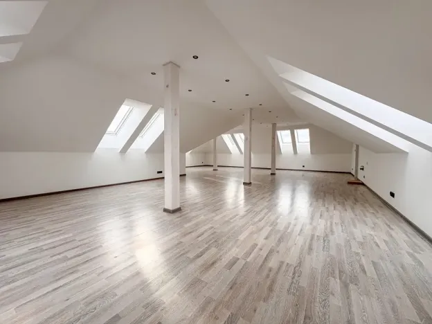Prodej bytu 4+kk, Praha, 209 m2