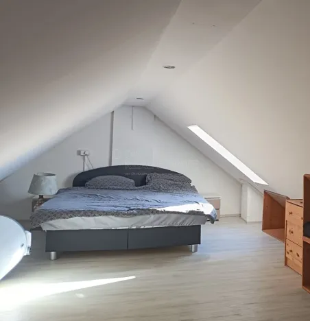 Pronájem rodinného domu, Tachov, Pivovarská, 180 m2