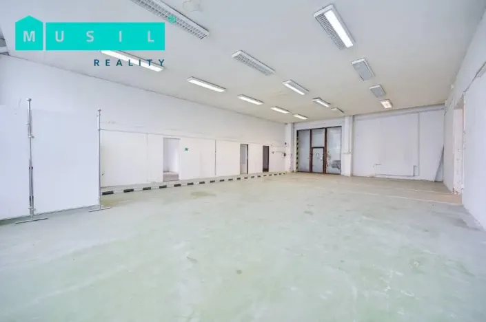 Pronájem komerční nemovitosti, Olomouc - Nové Sady, Werichova, 542 m2