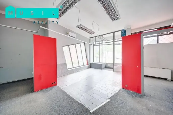 Pronájem komerční nemovitosti, Olomouc - Nové Sady, Werichova, 542 m2