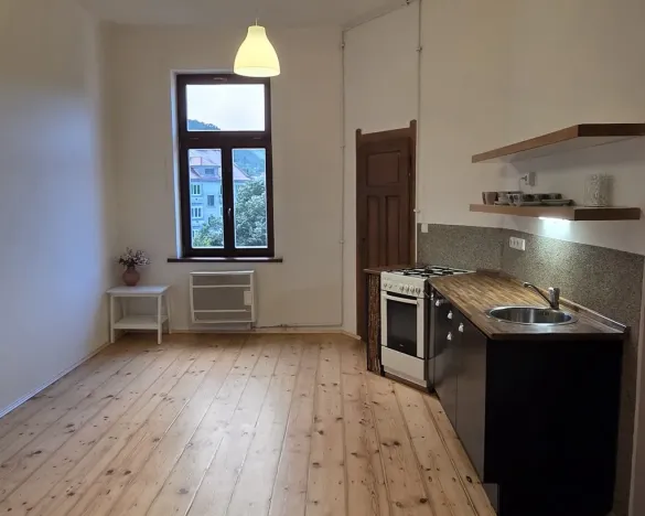Pronájem bytu 1+1, Ústí nad Labem - Střekov, Žukovova, 49 m2