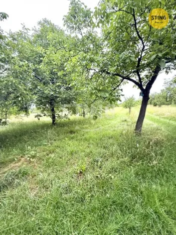 Prodej sadu/vinice, Strážnice, 4194 m2